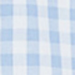 Limberry Bluse Alison blau