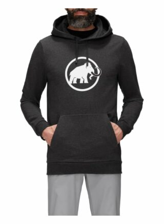 mammut Logo Hoodie Herren, Schwarz