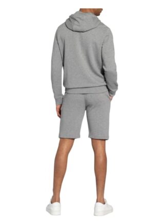 Napapijri Hoodie B-Ice grau