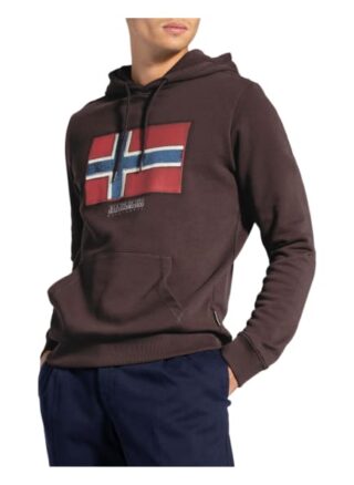 Napapijri Hoodie Birol grau