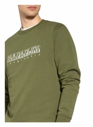 Napapijri Ballar Sweatshirt Herren, Grün