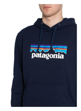 Patagonia Hoodie Uprisal blau