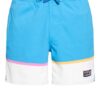 Patagonia Shorts Wavefarer blau