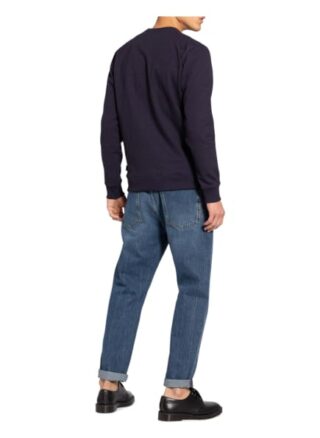 Patagonia Sweatshirt Uprisal blau