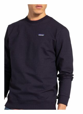 Patagonia Sweatshirt Uprisal blau