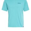 Patagonia T-Shirt blau