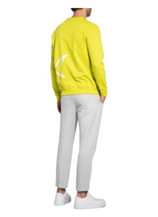 Paul & Shark Sweatshirt gruen