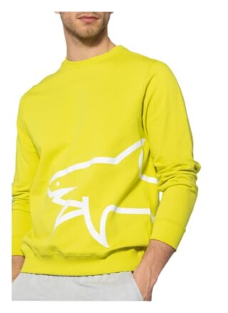 Paul & Shark Sweatshirt gruen