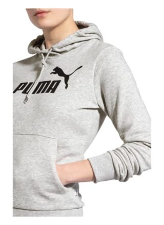 Puma Hoodie Essentials grau