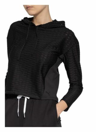 Puma Hoodie Flawless schwarz