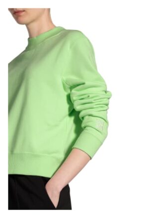 Puma Sweatshirt Infuse gruen