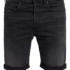 Replay Jeans-Shorts Regular Fit grau