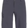 Salomon Outdoor-Shorts Wayfarer grau