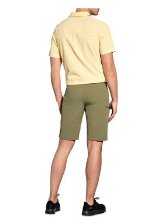 Salomon Wayfarer Shorts Herren, Grün