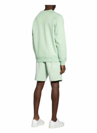 Scotch & Soda Sweatshirt gruen