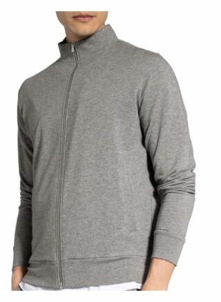 Stefan Brandt Joseph Sweatjacke Herren, Grau