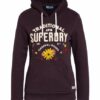 Superdry Hoodie blau