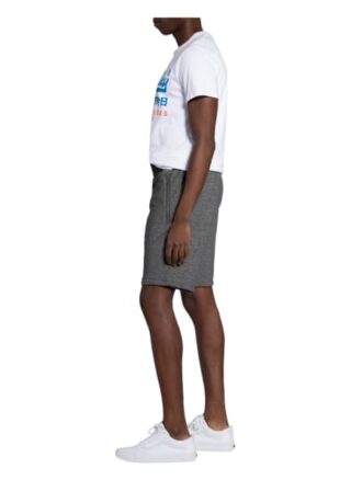 Superdry Shorts grau
