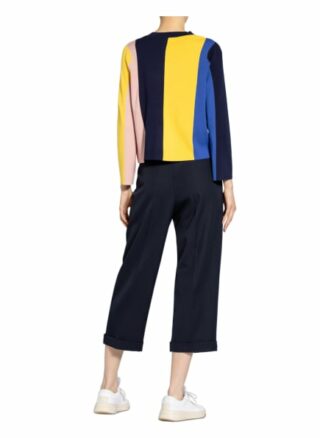 Ted Baker Pullover Fenchi blau
