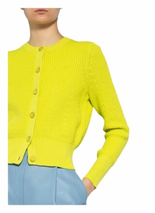 Ted Baker Strickjacke Rocota gruen