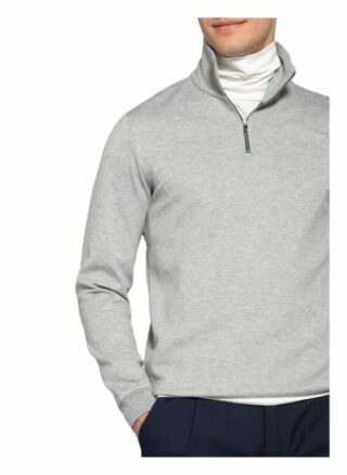 Ted Baker Sweat-Troyer Ayfive grau