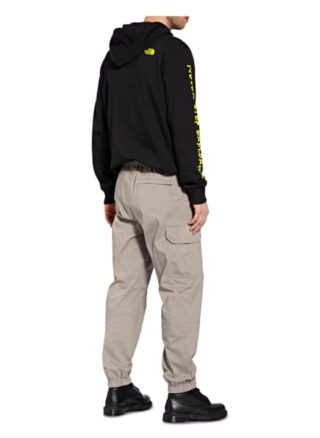 The North Face Cargohose Herren, Grau