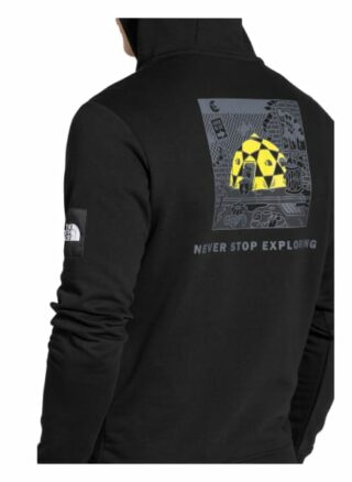 The North Face Hoodie Black Box schwarz