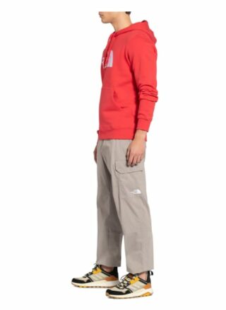 The North Face Hoodie rot