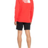 The North Face Longsleeve rot