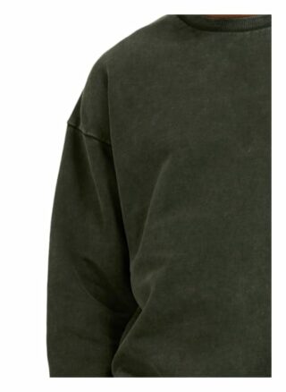Tigha Sweatshirt Ciel Logo 213 Regular Fit gruen