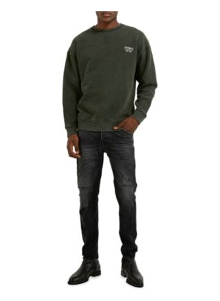 Tigha Sweatshirt Ciel Logo 213 Regular Fit gruen