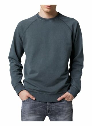 Tigha Sweatshirt Zale Regular Fit grau