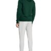 Tommy Hilfiger Hoodie Herren, Grün