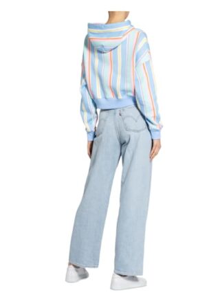 Tommy Jeans Hoodie blau