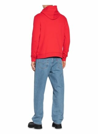 True Religion Hoodie rot