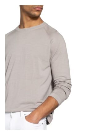 Zzegna Pullover grau