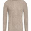 DSTREZZED Rollkragenpullover Herren, Beige