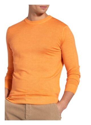 PAUL & SHARK Pullover Herren, Orange