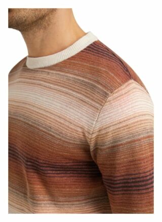 BALDESSARINI Caio Pullover Herren, Braun