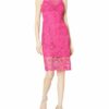 Adrianna Papell Sunrise Lace Illusion Sheath Abendkleid, Pink