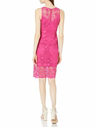 Adrianna Papell Sunrise Lace Illusion Sheath Abendkleid, Pink