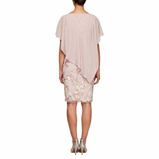 Alex Evenings Kurzes Popover-Kleid, Etuikleid, Pink