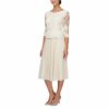 Alex Evenings Plus Size Spitzenkleid in T-Länge, Beige