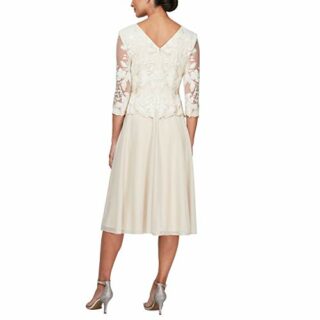 Alex Evenings Plus Size Spitzenkleid in T-Länge, Beige