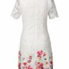 Apart Spitzenkleid Cocktailkleid in A-Linie, Beige