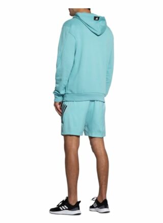 Adidas Sportswear Future Hoodie Herren, Blau