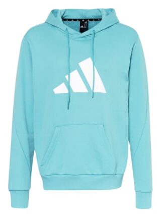 Adidas Sportswear Future Hoodie Herren, Blau