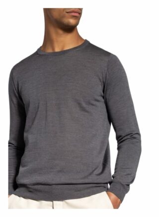 EDUARD DRESSLER Pullover Herren, Grau