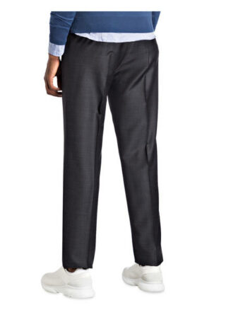 Ermenegildo Zegna Anzughose Herren, Grau