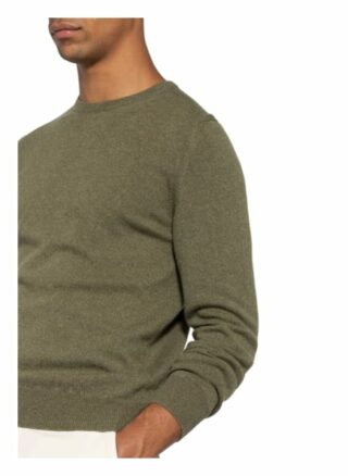 FEDELI Argentina Cashmere-Pullover Herren, Grün